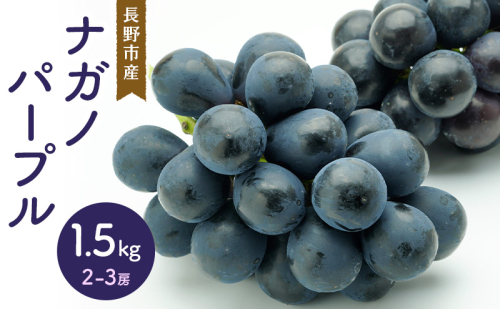 2026年産ナガノパープル 1.5kg 2-3房 長野市産 フルーツ 果物 ぶどう ※配送不可:沖縄、離島