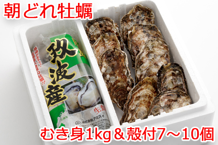 オレの牡蠣アミスイ むき身＆殻付 牡蠣 Aセット｜朝どれ 生食用 生がき 生ガキ 大粒 剥き身 むきかき 殻むき不要 便利 人気 おすすめ 貝 シーフード オイスター 海鮮 魚介類 濃厚 BBQ バーベキュー カンカン焼き 鍋 炊き込みごはん カキフライ おおたけカキ 特大サイズ 広島県産 大竹市 玖波 宮島 瀬戸 国産 産地直送 [1882]