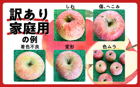 【令和6年産先行予約】 〈訳あり品 家庭用〉 りんご 「サンふじ」 約5kg バラ詰め 《令和6年12月上旬～令和7年2月下旬発送》 『カネタ高橋青果』 リンゴ 山形県 南陽市 [1958]