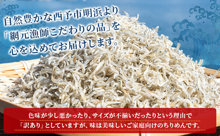 【無添加・天日干し】　わけあり　お徳用ちりめん　40g×６袋