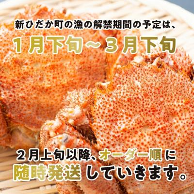 ふるさと納税 新ひだか町 ＜2027年2月上旬より発送開始＞ 北海道産浜ゆで毛ガニ 2尾 計600g以上 ＜先行受付＞ |  | 01