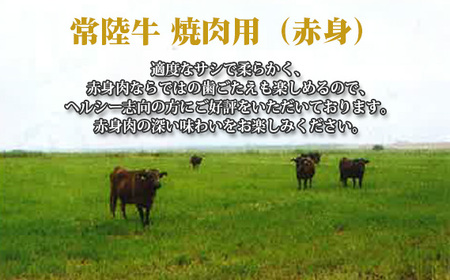 No.440 【常陸牛】焼肉用（赤身）約500g＜茨城県共通返礼品＞