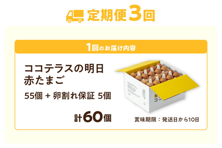 【3ヵ月定期便】ココテラスの明日（赤たまご）55個 + 5個保証（計60個）【JGAP認証】 農家直送 新鮮 卵 タマゴ 赤卵 玉子 鶏卵 朝食 夕食 夜食 朝ごはん たまご焼き オムレツ 卵ご飯 料