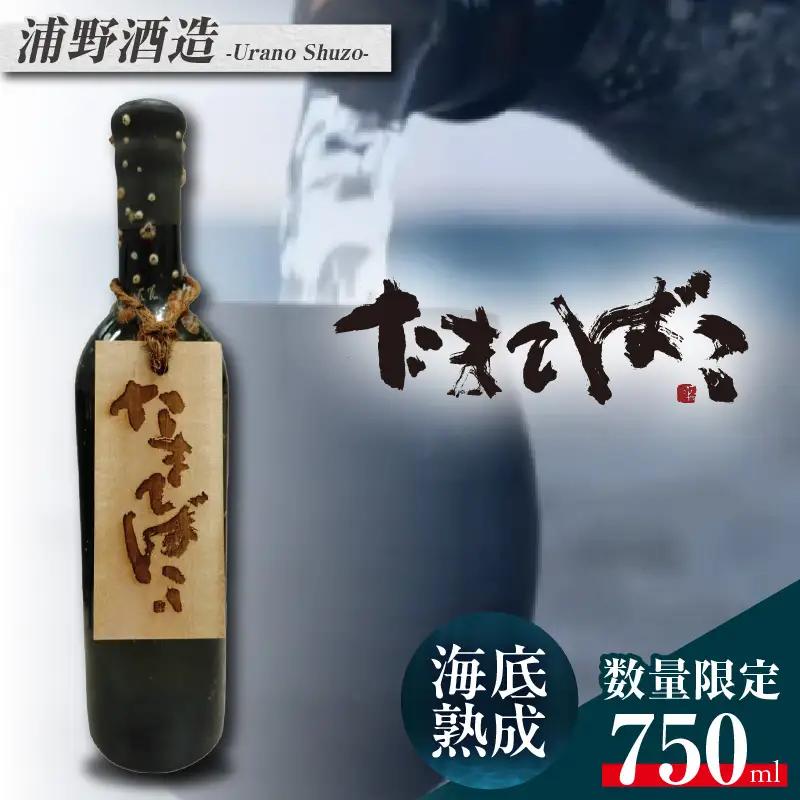 【テレビで紹介！】伊勢湾竜宮熟成酒「たまてばこ」【浦野酒造】│日本酒 酒 常滑市