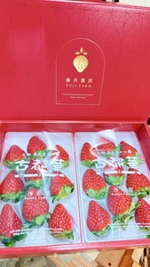 いちご 270g×2P 古都華いちご