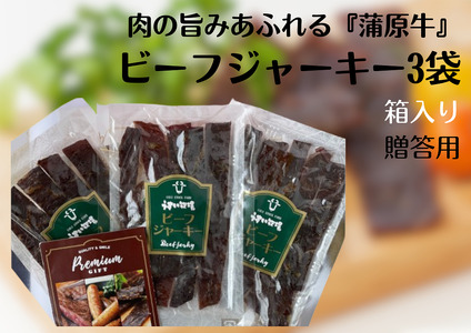 肉の旨みあふれる 蒲原牛 ビーフジャーキー（贈答用） モモ肉 秘伝 醤油ダレ つまみ おつまみ 晩酌 1T03016