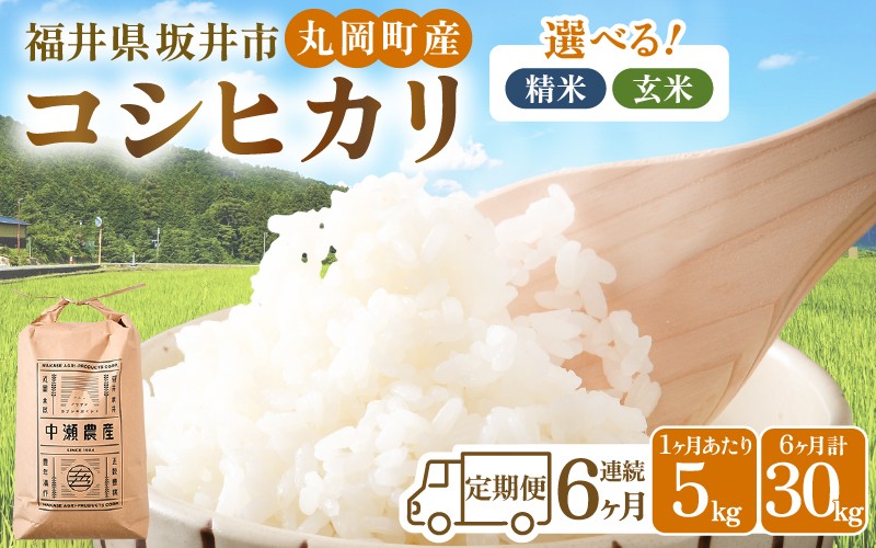 
                  令和8年産・新米 【6ヶ月連続お届け】 コシヒカリ 5kg × 6回 計30kg (精米/玄米) お米 米 5キロ 定期便 お米の定期便 こしひかり 坂井市産コシヒカリ 精米 玄米 人気 福井県坂井市丸岡町産 国産 [F-11302]
                