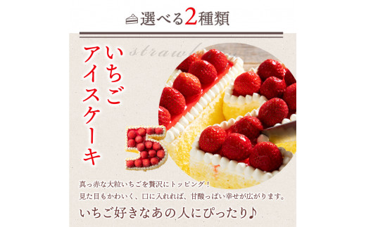【ふるさと納税】誕生日ケーキ 【パティシエ手作り】アイス数字ケーキ [ スイーツ アイス ケーキ ナンバーケーキ アニバーサリーケーキ 立体 パーティー 誕生日 ギフト 大人 子供 かわいい セット お取り寄せ おしゃれ プチギフト ]  秋 旬