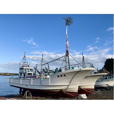 ふるさと納税 いすみ市 【太東・大原産マダコ】茹で&生セット(合わせて400g以上) |  | 02