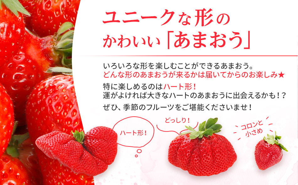 【定期便】博多あまおう 福岡県JAグループのブランドあまおういちご 1080g（約270g×4パック）×2回 ※2月・3月お届け アフター保証 いちご 博多あまおう 2025年先行予約受付 おすすめ 