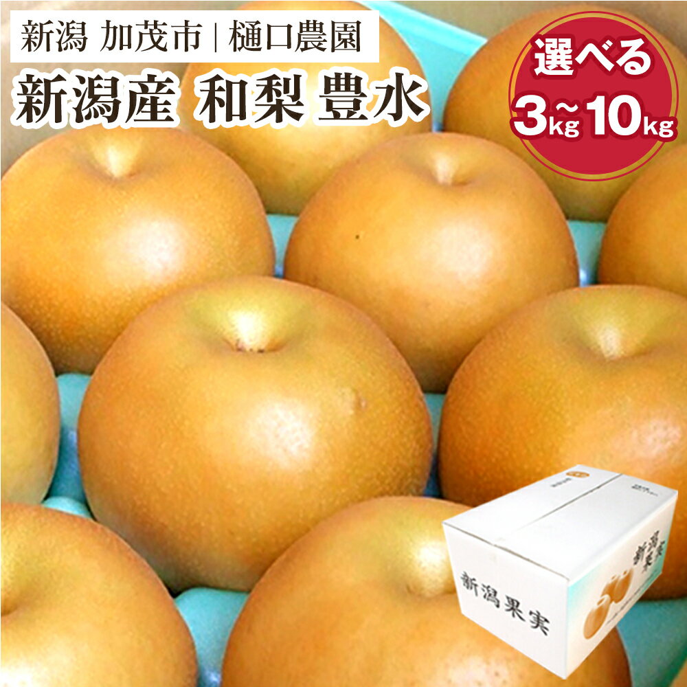 【ふるさと納税】【2026年先行予約】和梨 豊水 選べる「3kg」or「5kg」or「10kg」《9月上旬〜順次発送》果物 なし ほうすい 梨 フルーツ 新鮮 ジューシー 産地 加茂市 樋口農園