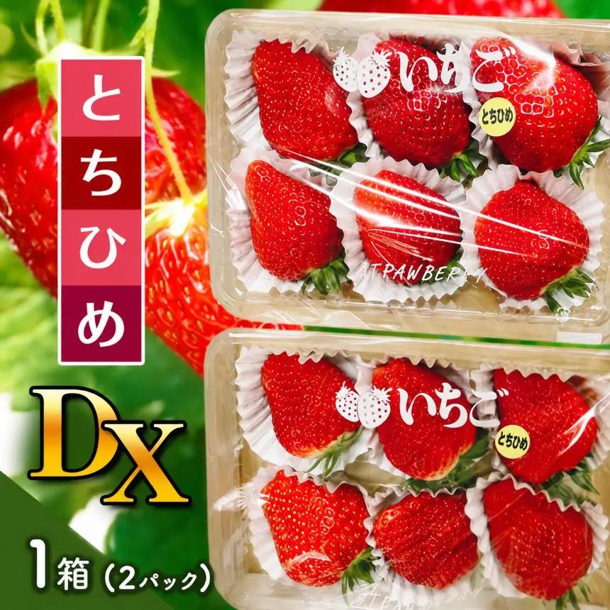 【2026年12月より発送】【先行予約】とちひめ DX 1箱(2パック) | いちご とちひめ