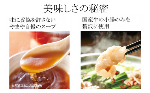 【本場博多のもつ鍋をご家庭で】博多もつ鍋やまや もつ鍋セット こく味噌味（1-2人前）