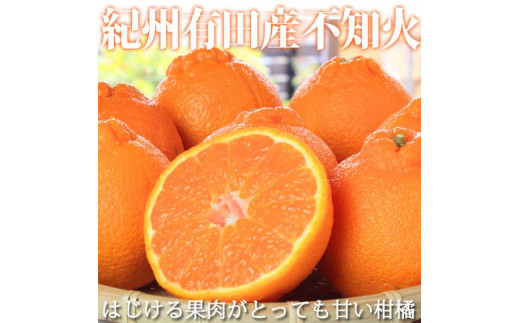 
            ［ご家庭用訳有り］紀州有田産不知火(しらぬひ) 約8.5kg［2026年2月中旬以降発送］［先行予約］［UT41w］
          