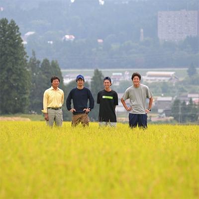 ふるさと納税 南魚沼市 6年連続金賞受賞　南魚沼塩沢産コシヒカリ10kg　関家のこだわり米　栽培期間中農薬8割減栽培 |  | 03