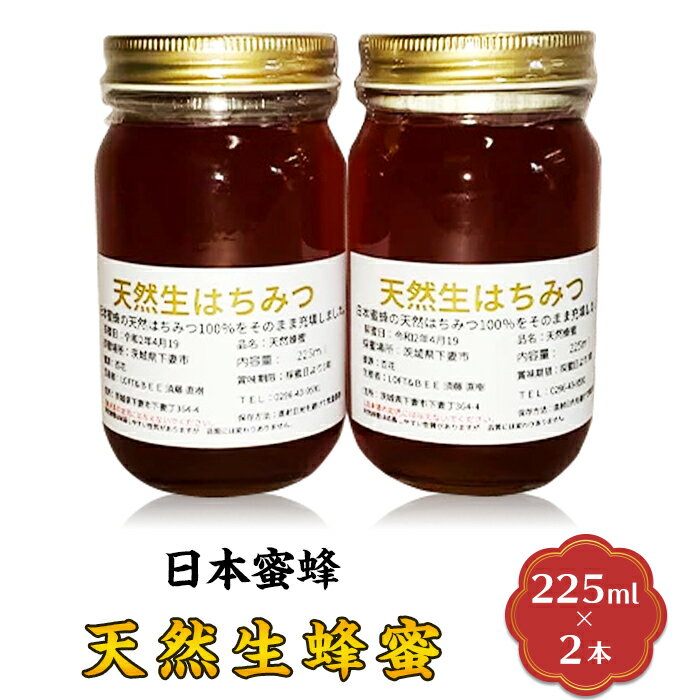 【ふるさと納税】【先行予約】はちみつ 国産 生はちみつ 生蜂蜜 生ハチミツ 天然生蜂蜜（日本蜜蜂）2本セット【2025年8月上旬から順次発送予定】