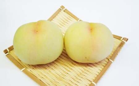 もっとも旬な品種の桃をお届け 岡山の桃 2kg【2026年6月下旬～9月下旬 発送予定】【桃 人気フルーツ 人気桃 おすすめフルーツ 岡山桃 岡山フルーツ 岡山県 倉敷市】