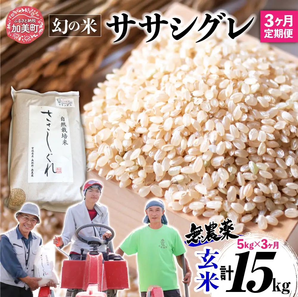 玄米 令和8年産ササシグレ 5kg×3回定期便 玄米