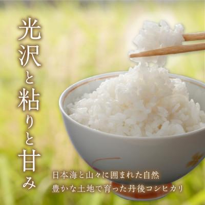 ふるさと納税 京丹後市 【令和7年産/直売所直送】検査1等米 丹後コシヒカリ 精米5kg 直売所からおいしいお米をお届け |  | 02