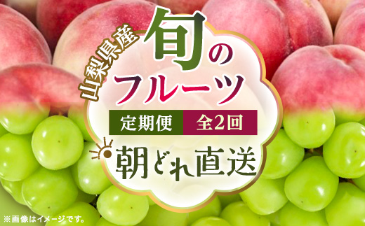 【発送月固定定期便】【2026年先行受付】旬のフルーツ定期便　桃2kg・シャインマスカット全2回【配送不可地域：離島・沖縄県】