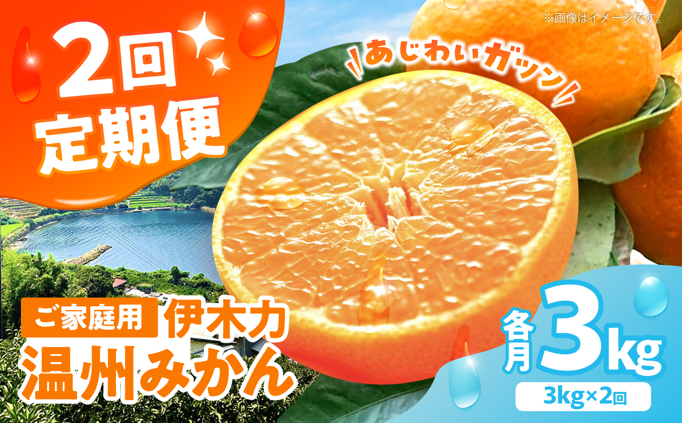 【2回定期便】伊木力温州みかん3kg (ご家庭用、箱入り) / 伊木力 温州みかん みかん ミカン 蜜柑 佐瀬 諫早 多良見 長崎 / 末永果樹園 [AHBD008]
