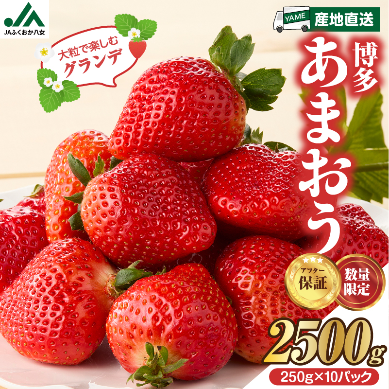 【先行受付：2027年2月発送開始】博多あまおうＧ250g×10パック｜JAふくおか八女 あまおう いちご 苺 イチゴ フルーツ 果物 くだもの 人気 旬 福岡県産 大粒 アフター補償 数量限定 期間