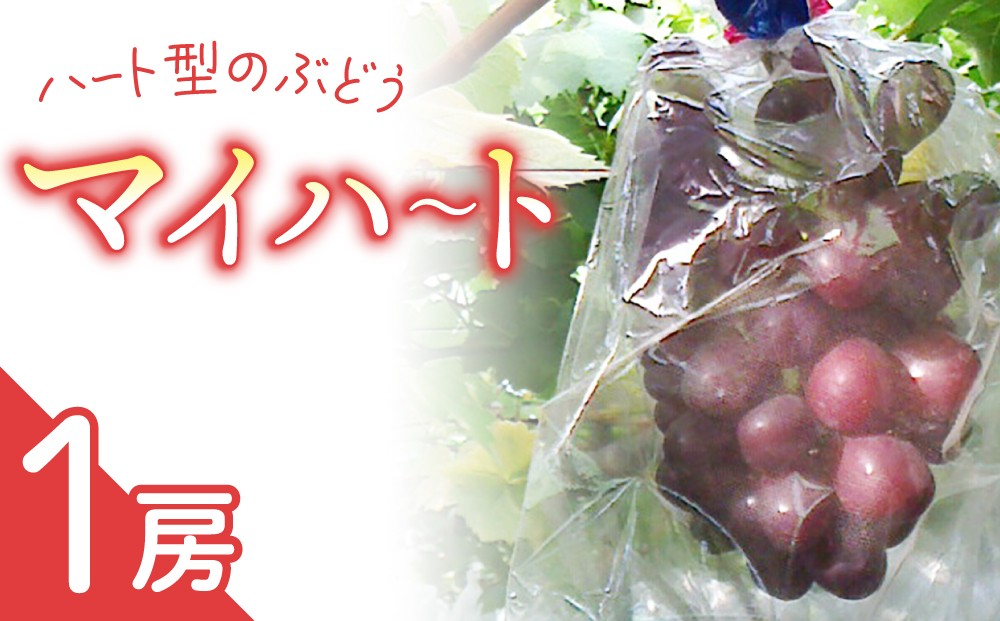 
            マイハート1房 ご贈答品 高級葡萄
          