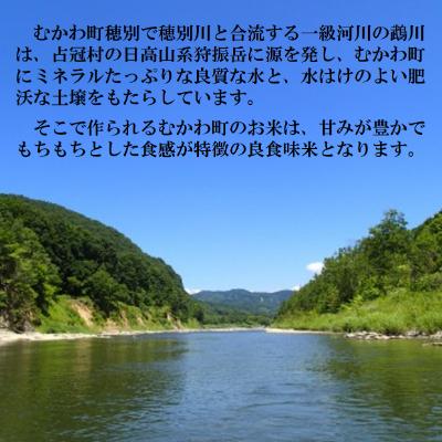 ふるさと納税 むかわ町 【令和6年産】北海道のブランド米!北海道むかわ町産ゆめぴりか　精米10kg |  | 02