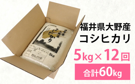 【先行予約】【12ヶ月定期便】【令和8年産　新米】福井県大野産コシヒカリ（白米）5kg×12回 計60kg [G-094001]