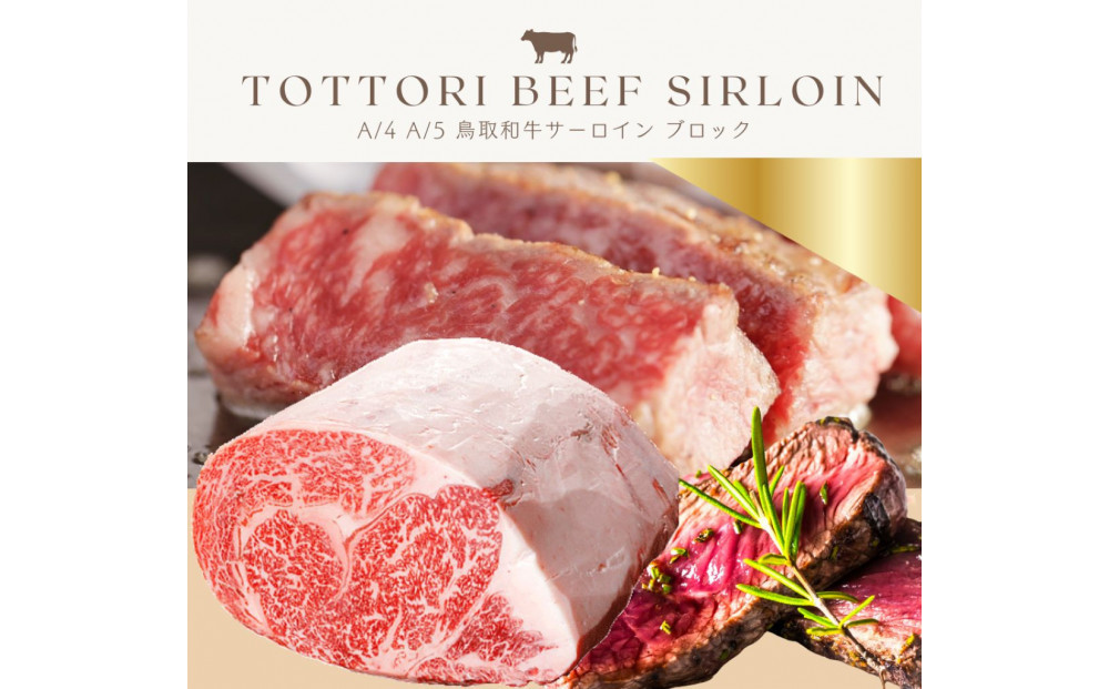 鳥取和牛 サーロインブロック 3kg 312011_FT009