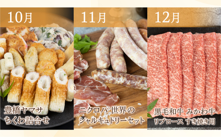 豊橋 どうまい 定期便 プレミアム 全12回定期便 鴨  / せとか / いちご / スイーツ定期便 / スイカ  / うなぎ / シャインマスカット /フルーツ定期便/ 惣菜定期便/ ちくわ / 牛