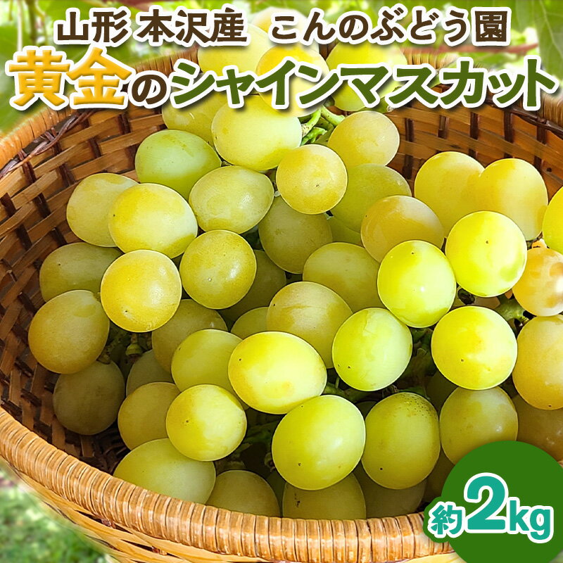 【ふるさと納税】「黄金のシャインマスカット」2kg 山形市 本沢 こんのぶどう園【令和8年産先行予約】FS25-103