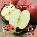 【ふるさと納税】【10月下旬より発送開始】産地直送 青森県産シナノスイート 5キロ箱 10～23玉 青森県産りんご【配送不可地域：離島】【1290128】