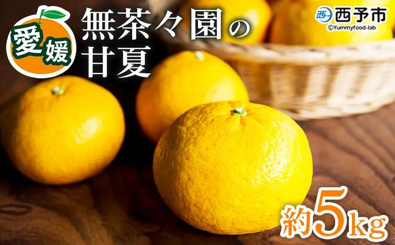  【先行予約】＜無茶々園の甘夏 約5kg＞ 果物 あまなつ みかん ミカン 蜜柑 柑橘 フルーツ 期間限定 季節限定 食べて応援 特産品 愛媛県 西予市 【常温】『2027年3月～5月上旬迄に順次出荷予定』AMC0062