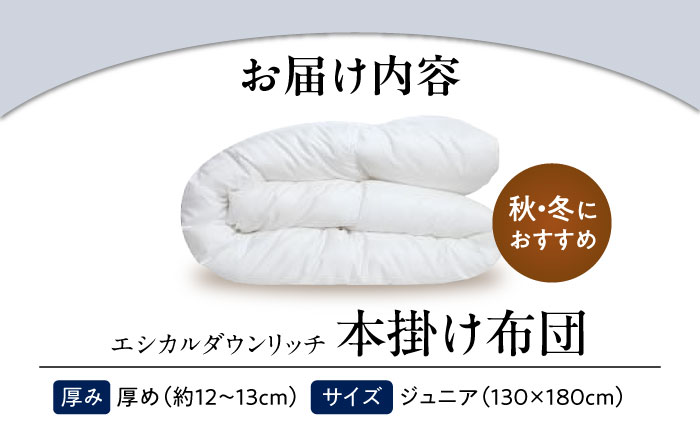 洗える 人工羽毛布団 本掛け布団 ジュニア エシカルダウンリッチ 広島県福山市/イシケン株式会社 羽毛 布団 ふとん 本掛け 掛け布団 掛布団 軽い 日本製 秋 冬 寝具 アレルギー対策 サステナブル
