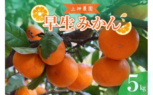 【2025年11月中旬～発送】上神農園の早生みかん 約5kg ku011-020-25