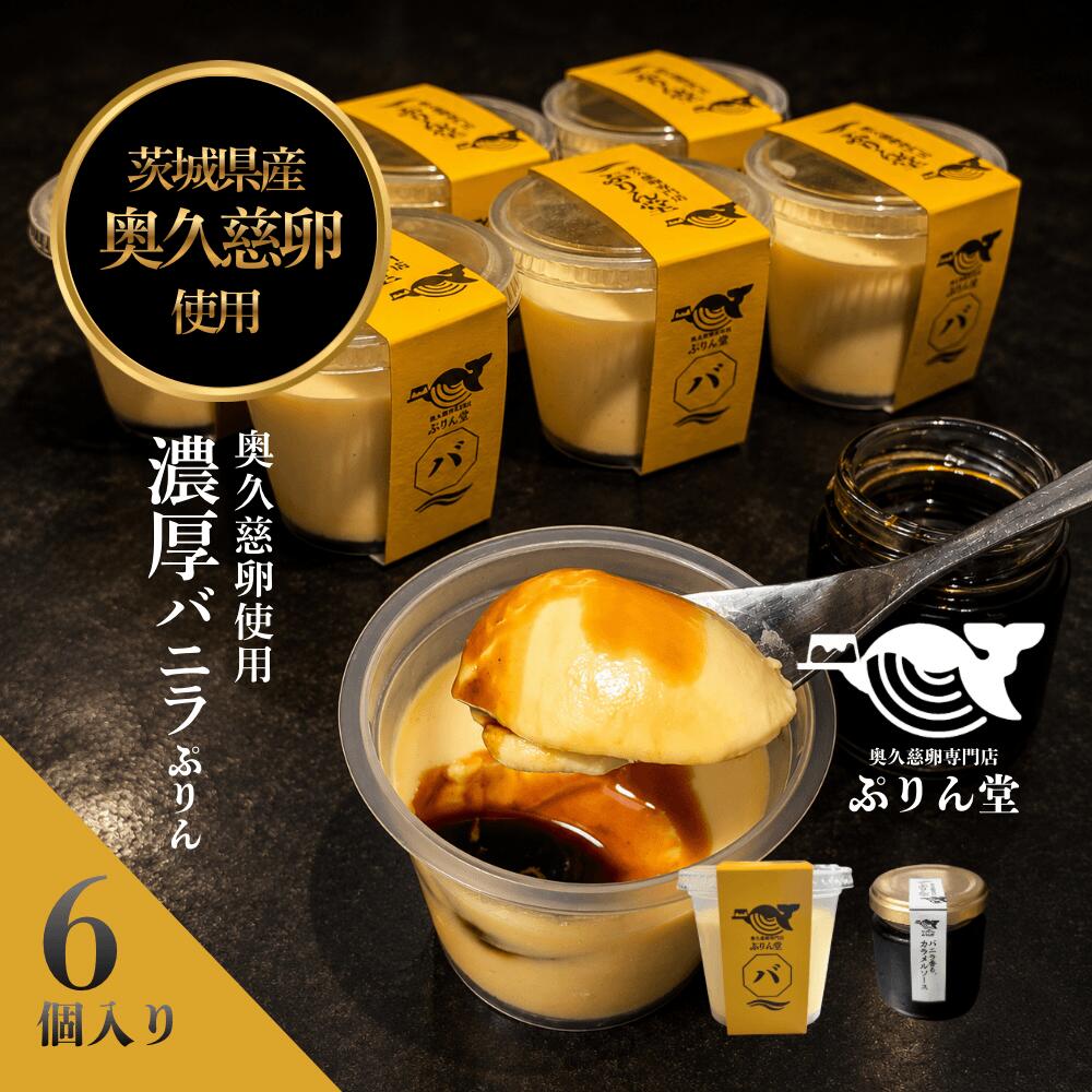 【ふるさと納税】奥久慈卵使用 濃厚バニラぷりん 6個セットとバニラ香るカラメル ぷりん 冷蔵 おやつ デザート たまご 贈り物 グルメ バニラ プレゼント 洋菓子 プリン スイーツギフト 詰め合わせ 誕生日 内祝い 【奥久慈卵専門店ぷりん堂】【ho1700】