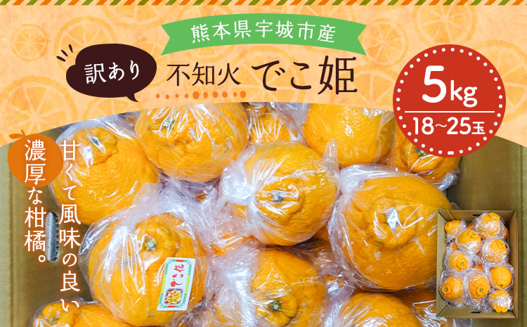 【先行予約】  訳あり 不知火 でこ姫 約5kg（約18〜25玉）【吉田レモニー】【2026年2月中旬〜2026年5月下旬発送】オレンジ ミカン わけあり 傷 キズ 甘い 家庭用 自宅用 蜜柑 濃厚 