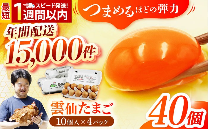 
            【卵 スピード発送】雲仙たまご 40個(10個入り×4パック) 長崎県/塚ちゃん雲仙たまご村 [42ACAE001] 玉子 タマゴ 鶏卵 長崎 島原 熨斗 のし ギフト 小分け 最速 最短
          