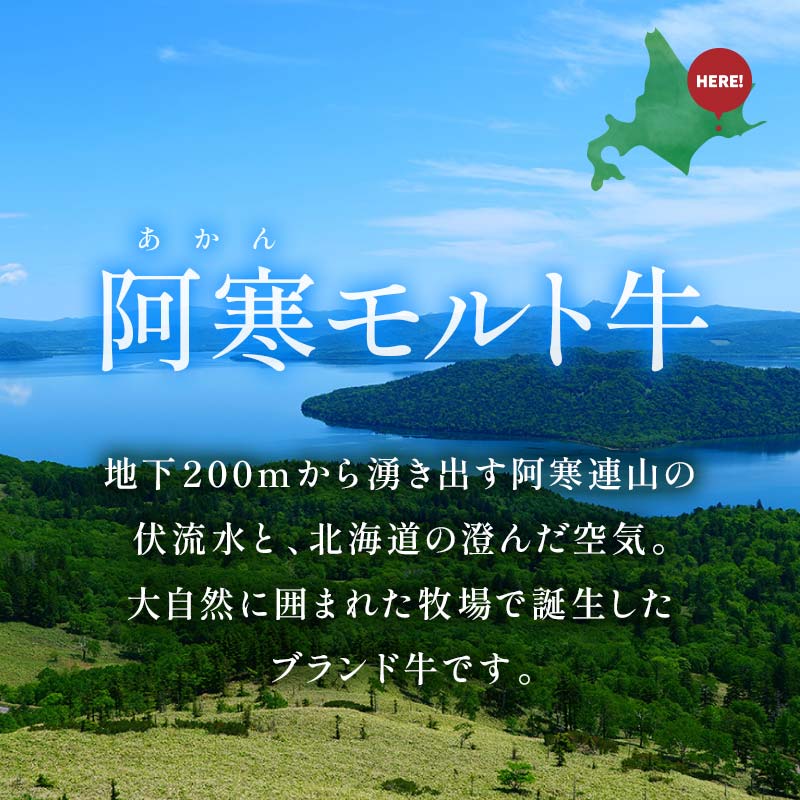 【これぞ北海道産 極上赤身肉】阿寒モルト牛サーロインステーキA 約230g×3枚 ふるさと納税 肉 F4F-2223