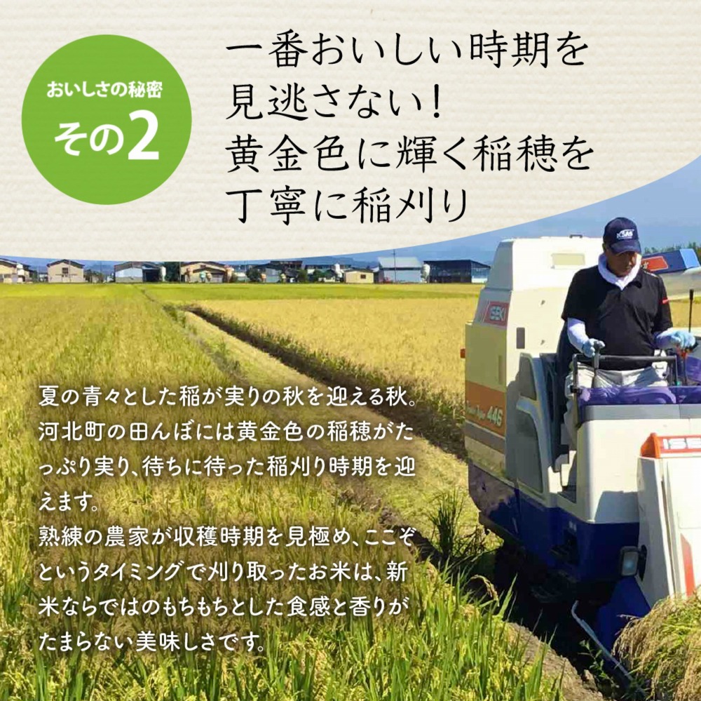 【令和6年産米】2025年4月上旬発送 雪若丸 20kg（5kg×4袋）山形県産 【米COMEかほく協同組合】