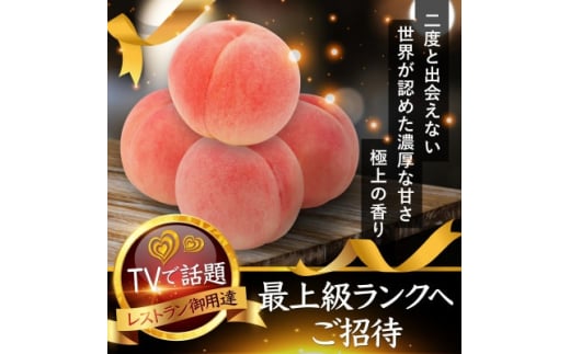 ＜選ばれし上位5%＞海外セレブも取り寄せる糖度16度以上樹上完熟ブランド桃2026年7月下旬発送【1464206】