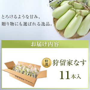 【先行予約】狩留家なす 11本 ≪2026年7月～発送開始≫
