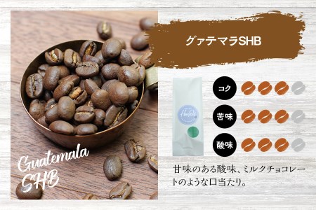 【中挽き】（ブレンド3+グァテマラ2）挽き立てコーヒー豆 750gセット 【hgo001-b-07】