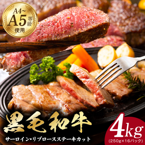 A5/A4ランク 黒毛和牛 サーロイン/リブロースステーキカット 合計4kg（各250g×8P）【極味付け肉】 CFX0069