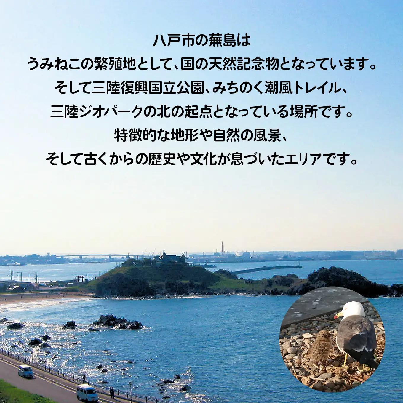 カイタック（OUTDOORBOX RIVERRUNS） うみねこ舞う蕪島でシーカヤック体験 アクティビティ チケット 青森県 八戸市