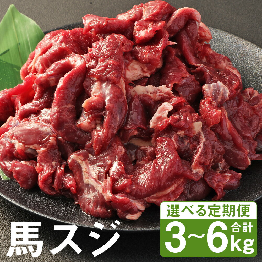 【ふるさと納税】【選べる定期便】馬スジ 1回につき1kg 3ヶ月定期便/6ヶ月定期便 500g×2パック 《お申し込みの翌月発送》小分け すじ 馬すじ 馬肉 冷凍 送料無料