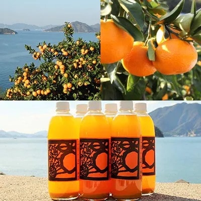 【B31】ホリ田ヤ　島みかんジュース 　500ml×6本【1003441】