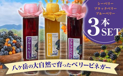 八ヶ岳の大自然で育った ベリービネガー 3本セット ( ブラックベリー , シーベリー , ブルーベリー )| りんご酢 ビネガー ベリー 安心 体に優しい さわやか 信州 八ヶ岳 長野県 諏訪郡 原村