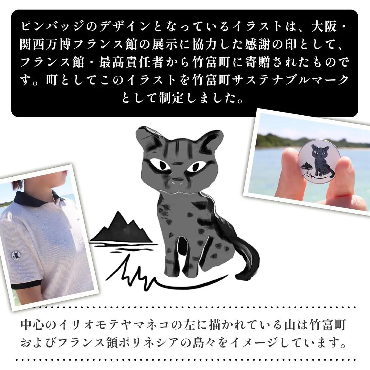 竹富町公式サステナブルマークピンバッジ【ピンク】（マグネットタイプ）